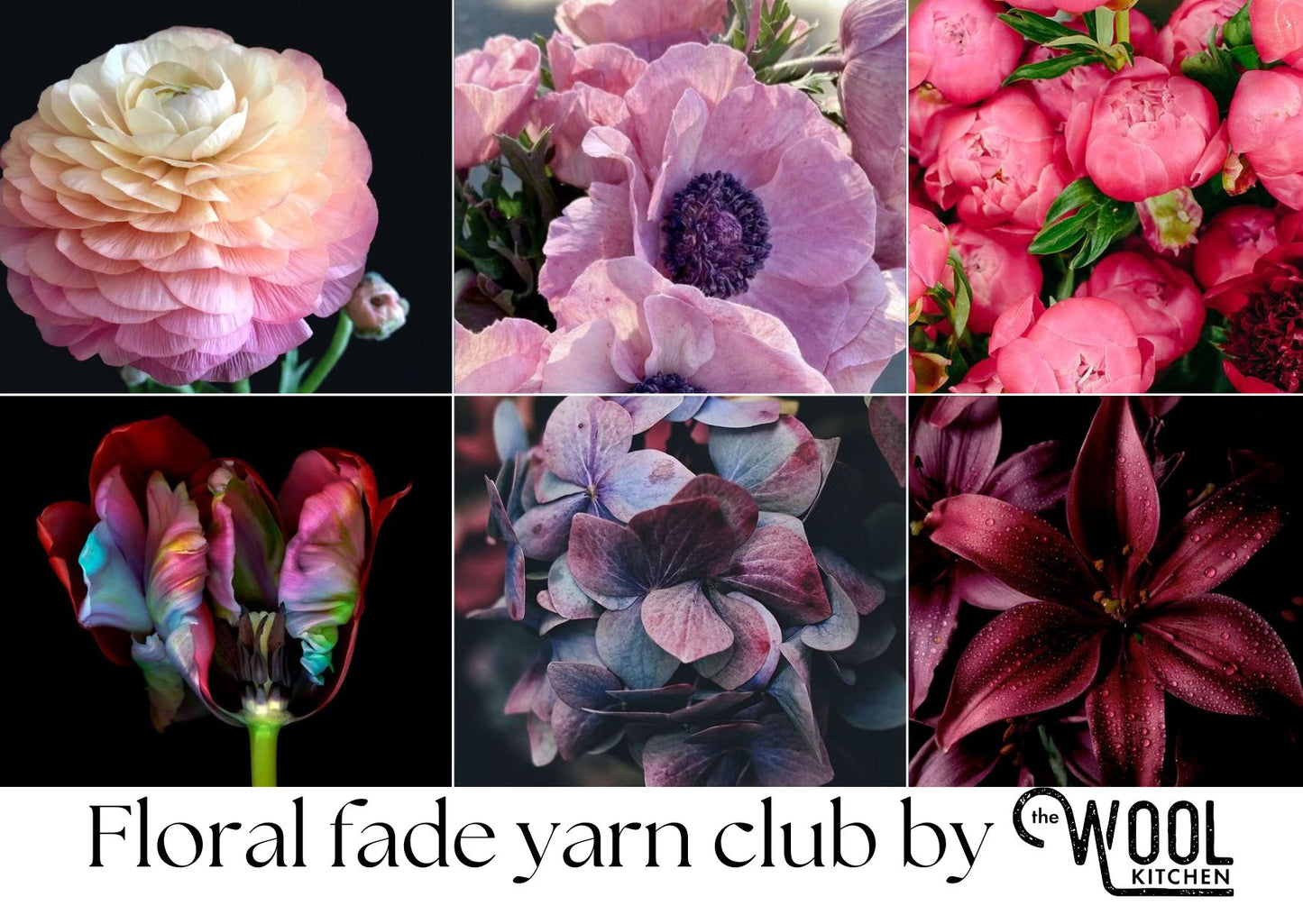 Floral Fade Monthly Yarn Club | The Wool Kitchen